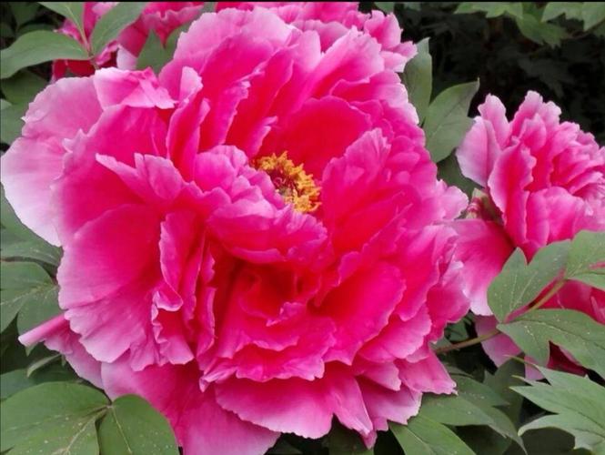 u_3339649101_4250116797&fm_253&fmt_auto&app_138&f_JPEG.jpeg u_3339649101_4250116797&fm_253&fmt_auto&app_138&f_JPEG.jpeg