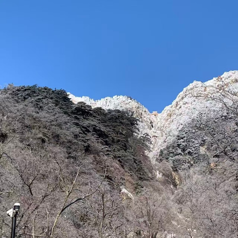 泰山雪景5.jpg